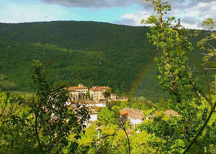 Sonic Alchemy Bed & Breakfast Castel Focognano
