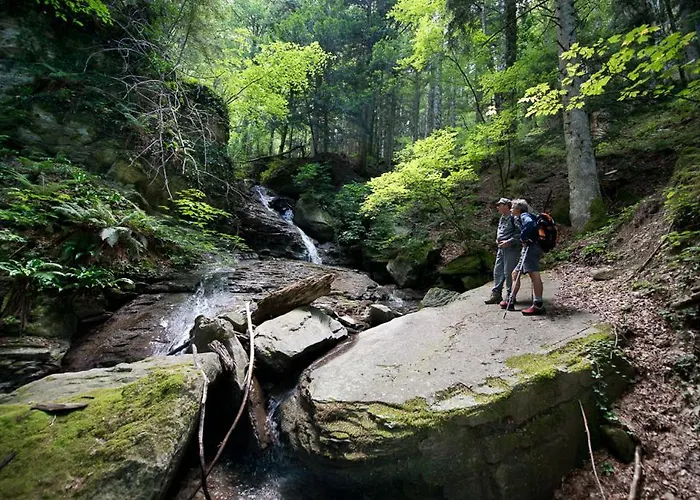 Bed & Breakfast Sonic Alchemy 3*